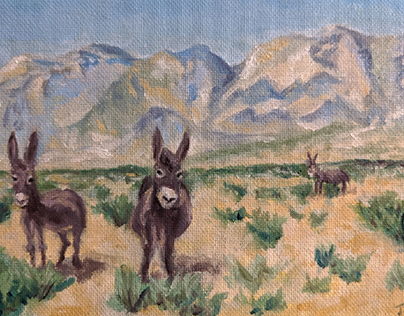 Burros with Desert Mountains