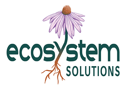 Ecosystem Solutions Branding
