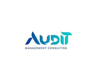 Audit For Managment Consulting