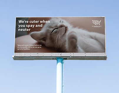 PSA campaign to spay and neuter cats