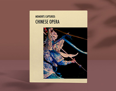 Moments Captured: Chinese Opera