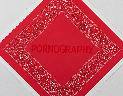 Pornography Has No Smell / Screenprint
