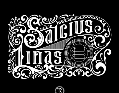 Salcius Linas Logotype and Logo Animation
