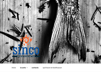 SINCO - Website