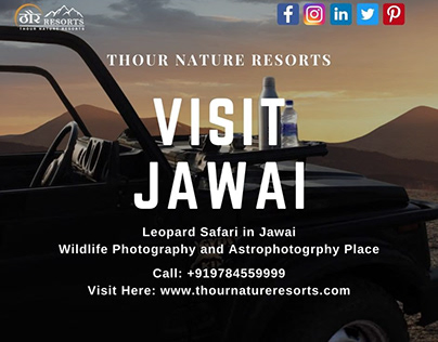 Visit Jawai Leopard Safari Wildlife Photography