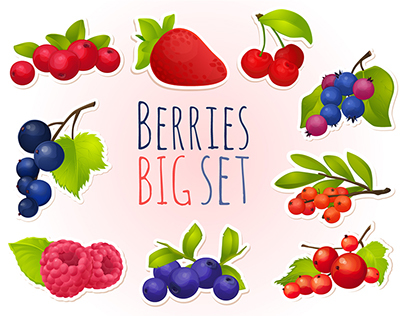 Set berries