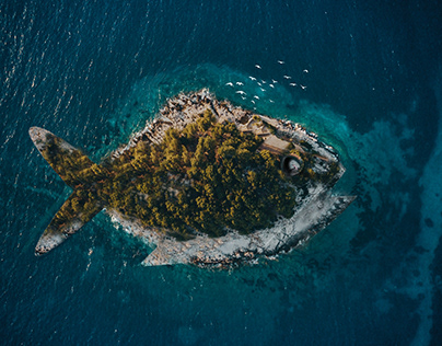 Fish island