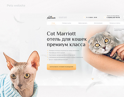Cats Hotel Website