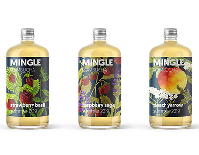 Mingle Kombucha | Packaging Design Concept
