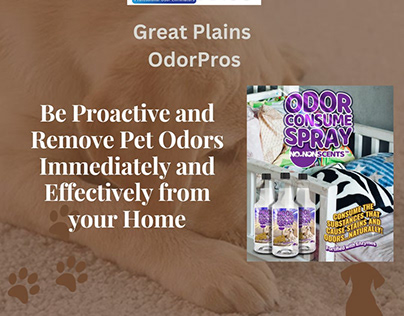 DIY Solutions for Pet Odor, Stains & Dander