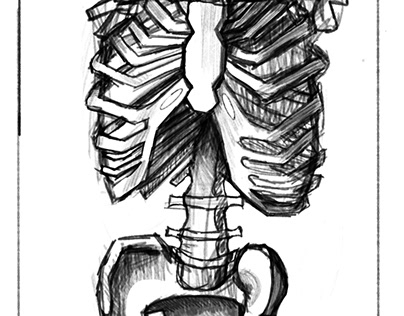 Chest skeleton pattern with shoulder girdle and pelvis