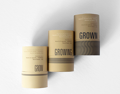 Graphic Design | Beard Grooming Kit