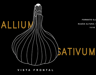 2020_allium-sativum