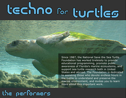 Techno for Turtles - Desktop and Mobile sites