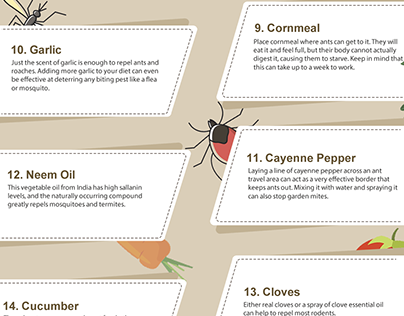 Top 20 Natural Pest Control Methods Infographic