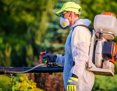 What Is the Most Effective Pest Control – Pest City USA