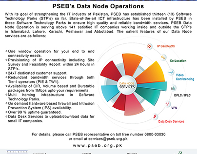 PSEB Data Node Flyer Design