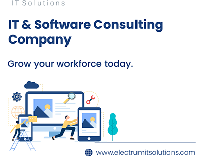 It & Software Consulting Company