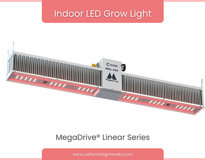 Indoor LED grow lights