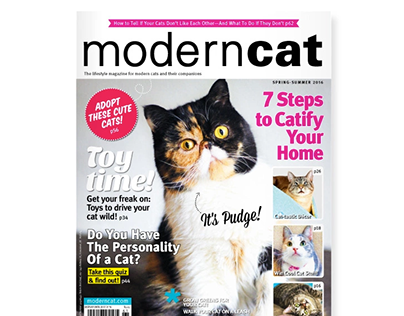 Modern Cat Magazine—Spring/Summer 2016