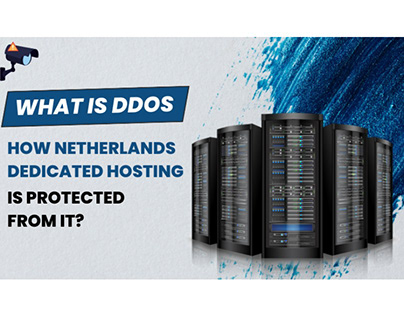 Netherlands Dedicated Hosting is Protected from DDoS