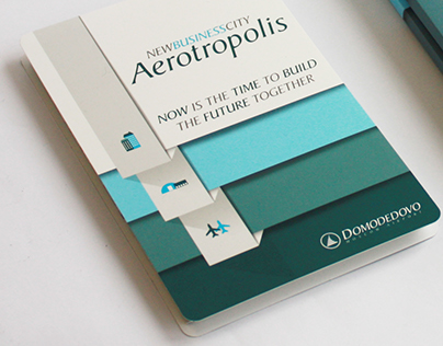 Infographics for Aerotropolis