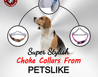 Choke Collar Dog