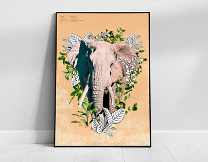 Elephant collage print