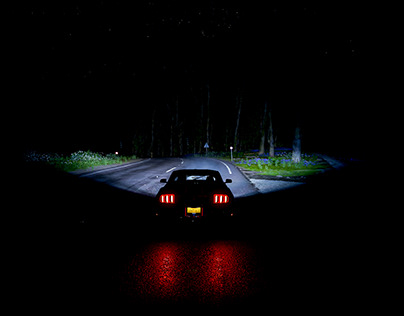 Ford Mustang Night Run
