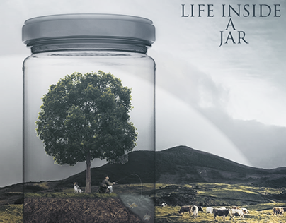 LIFE INSIDE A JAR