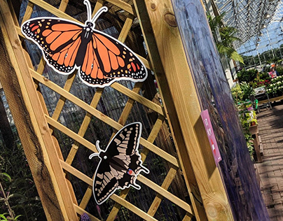 Bents Garden & Home - Butterfly House