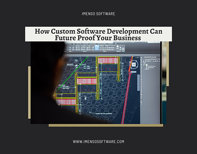 How Custom Development Can Future Proof Your Business
