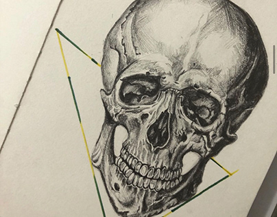 Skull Observation Drawing