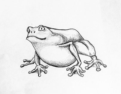 Animal_Abstraction_frog