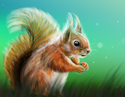 Little squirrel realized with a Wacom Intuos pro