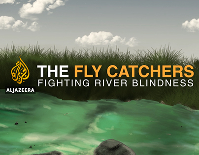 The Fly Catchers