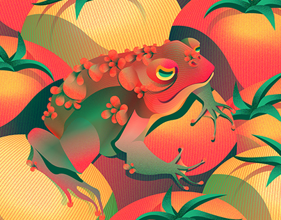 Toad Illustration