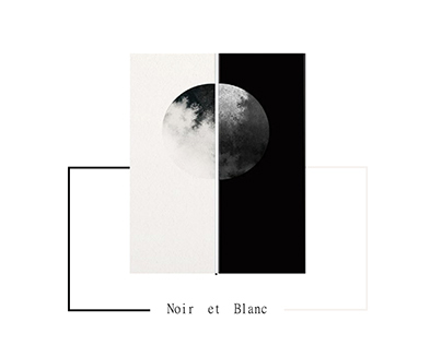 Theme: Noir et Blanc (Flat Knitting)