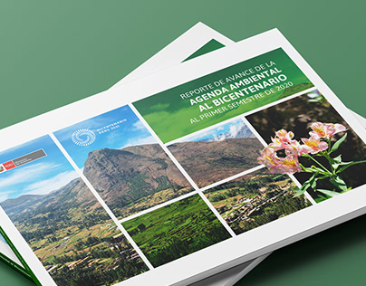Reporte de la Agenda Ambiental al Bicentenario 2020