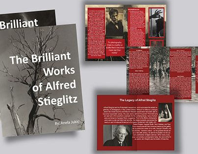 Alfred Stieglitz Booklet