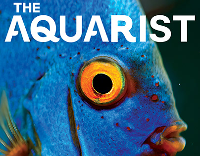 The Aquarist