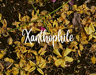 Xanthophile