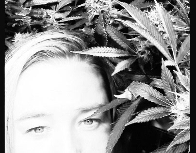 Cannabis And Me