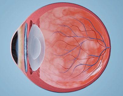Medical Eye Animation