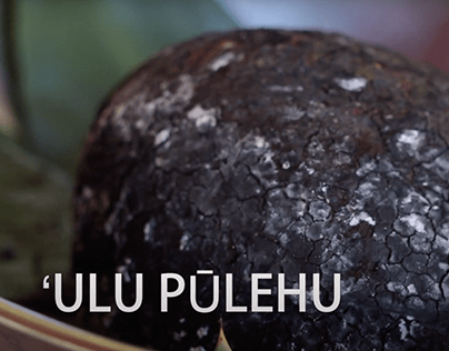 ʻUlu Pūlehu