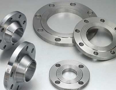 Stainless Steel Flanges - Sanjay Metal