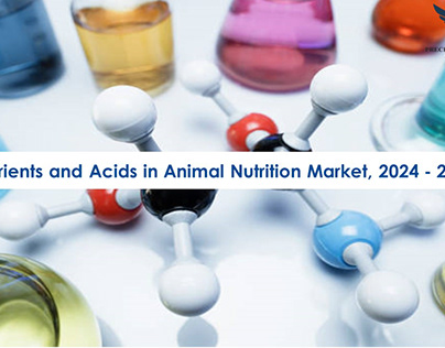 Nutrients and Acids in Animal Nutrition Market