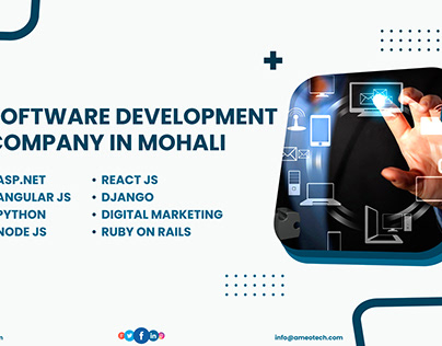 Software Development Company in Mohali