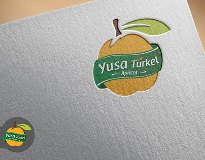 Türkel Kayısı Logo Tasarım Çalışması