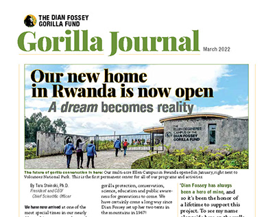 Redesign 3-Dian Fossey Gorilla Journal Print Newsletter